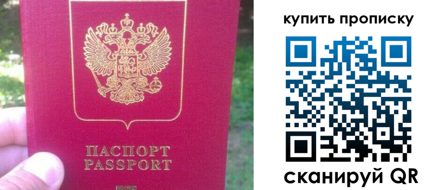 временная регистрация для школы в Новозыбкове